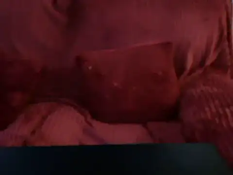 Emmamilfita online show from 25, 2, 2025