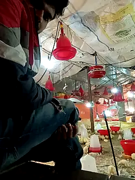 Snapshot of Roni1028 chatting on 31, 12, 2024 Roni1028 online show from 31, 12, 2024