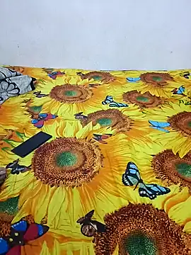 bhavanitelu online show from 28, 12, 2024