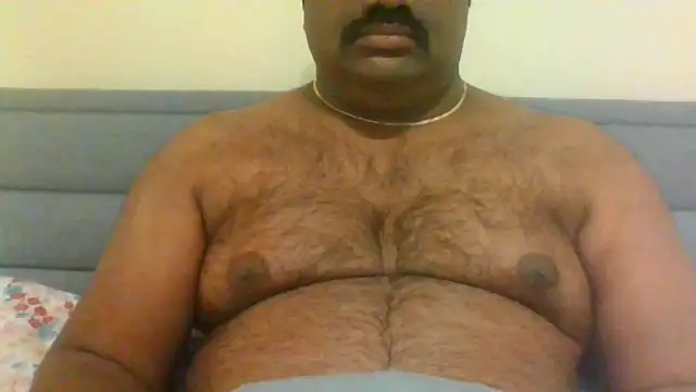 indianbearbot online show from 28, 12, 2024