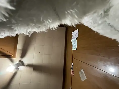 carmelbbyx22 online show from 29, 3, 2026