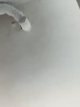 Snapshot of ekskekejejej chatting on 28, 9, 2025 ekskekejejej online show from 28, 9, 2025