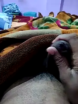 PLAYBOYYRAAJ online show from 30, 12, 2024