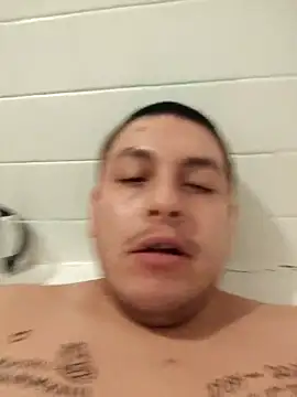 Itallionstallion online show from 23, 12, 2024