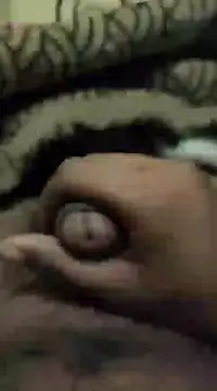 chinchi online show from 12, 1, 2025