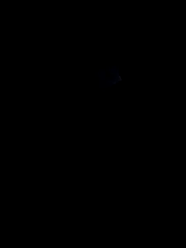 lokillo- 3000 online show from 15, 3, 2025