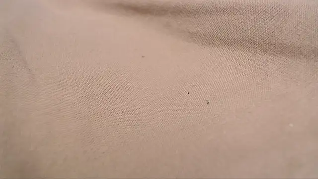 Snapshot of Lona-s chatting on 8, 4, 2026 Lona-s online show from 8, 4, 2026