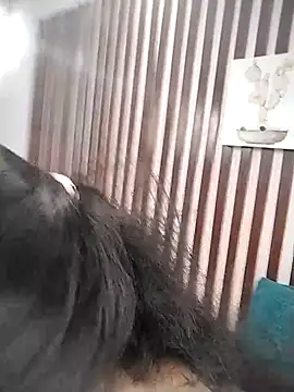 KRYSSTARITTER4 online show from 22, 3, 2025