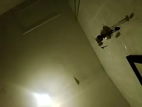 aigledauphin online show from 6, 1, 2026