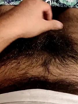 pitorico bb online show from 12, 3, 2025