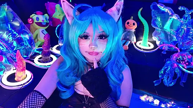 LaytonBox online show from 16, 1, 2026