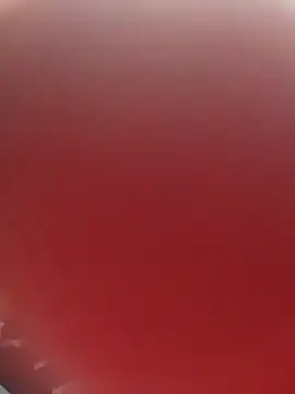 blondaf online show from 25, 11, 2025