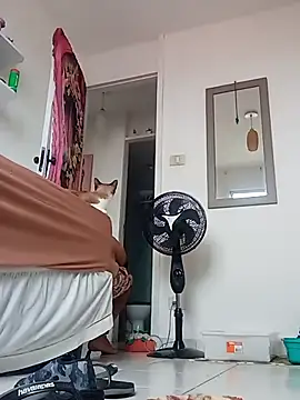 Munnoki online show from 2, 4, 2026