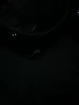 DutchPublic online show from 19, 1, 2025