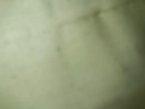 Ktosik88 online show from 18, 1, 2026