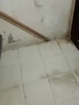 Snapshot of Jinenez chatting on 26, 2, 2025 Jinenez online show from 26, 2, 2025