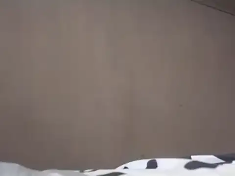 Snapshot of Chandy012 chatting on 19, 3, 2025 Chandy012 online show from 19, 3, 2025