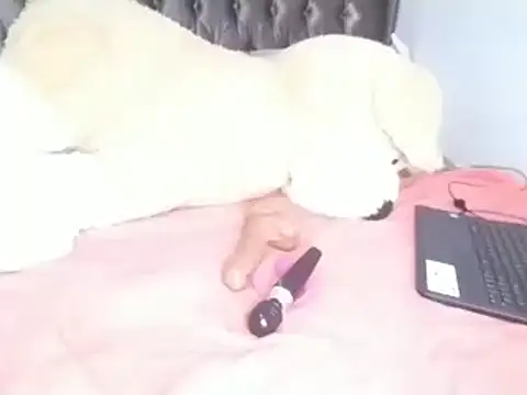 Chandy012 online show from 8, 4, 2026