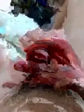 pussyhoneyhot online show from 19, 2, 2026