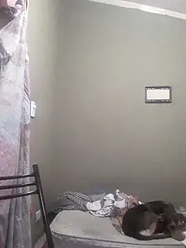 EstebanAkyLu online show from 27, 4, 2026