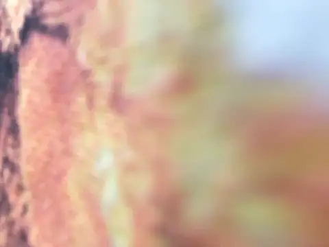 Snapshot of riri_riri_jp chatting on 16, 12, 2025 riri riri jp online show from 16, 12, 2025