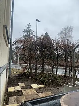 Snapshot of Ciara2004 chatting on 11, 2, 2026 Ciara2004 online show from 11, 2, 2026