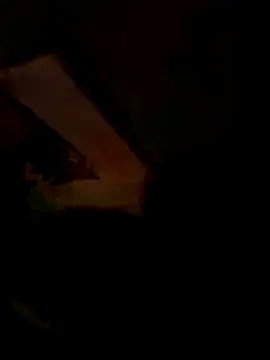 Raj41 online show from 7, 3, 2026