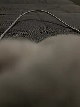 hengst2312 online show from 20, 1, 2025