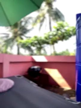 Snapshot of White_Lu chatting on 25, 9, 2025 White Lu online show from 25, 9, 2025