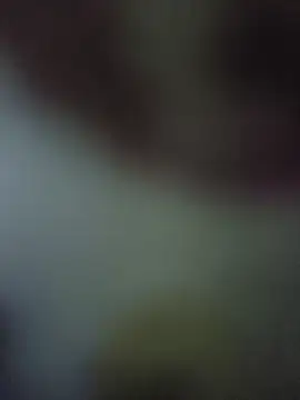 randit7 online show from 10, 11, 2025