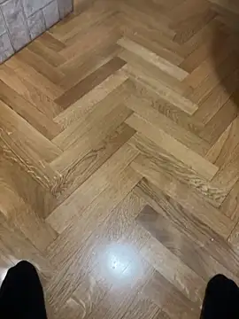 nejdb online show from 21, 2, 2026