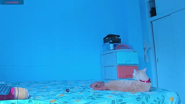 alice guzman1 online show from 29, 4, 2026