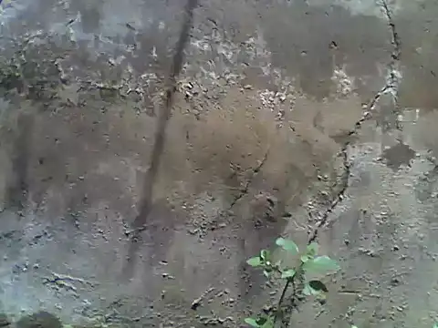 nee2526 online show from 5, 3, 2026