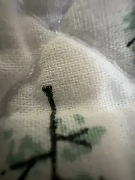 sissyboijamie1313 online show from 28, 2, 2026