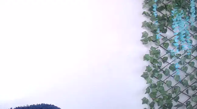 Snapshot of 7_Saturno_7 chatting on 13, 2, 2025 7 Saturno 7 online show from 13, 2, 2025