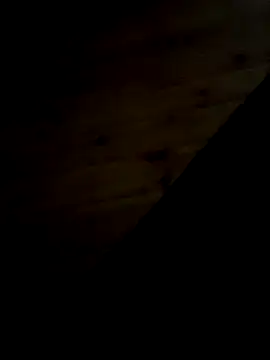 Snapshot of Arabian chatting on 11, 2, 2025 Arabian online show from 11, 2, 2025