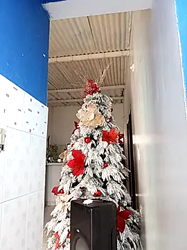 single mother indecent online show from 16, 1, 2026