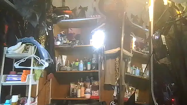 ShysluutGia online show from 31, 1, 2026