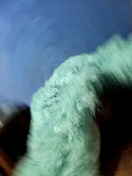 Snapshot of Caing23 chatting on 27, 2, 2026 Caing23 online show from 27, 2, 2026