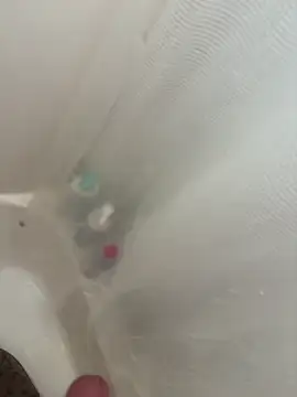 danyh2023 online show from 1, 3, 2026