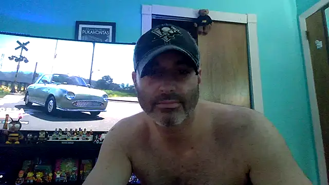 Novabear6996 online show from 11, 7, 2026