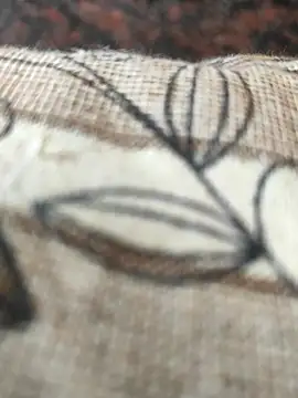 cocktony online show from 2, 3, 2025