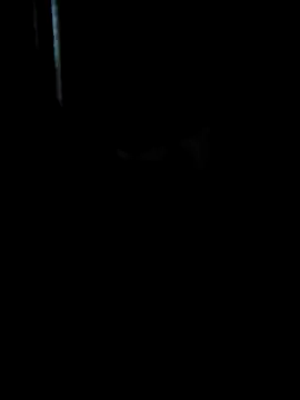 Ruanie online show from 13, 4, 2026