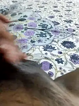 desi pb02 online show from 16, 4, 2026