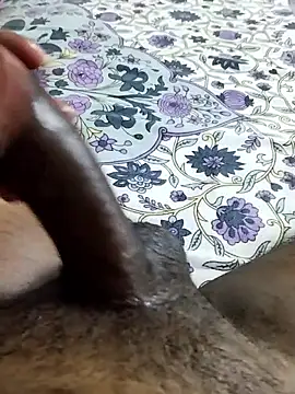 desi pb02 online show from 17, 4, 2026