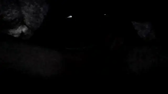 MaryundFling online show from 18, 9, 2025