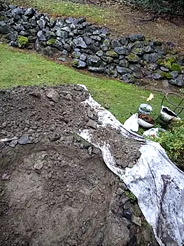 Snapshot of KingSlim56 chatting on 15, 11, 2025 KingSlim56 online show from 15, 11, 2025