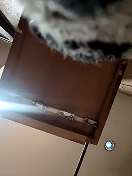 Snapshot of QueenM3 chatting on 11, 3, 2025 QueenM3 online show from 11, 3, 2025