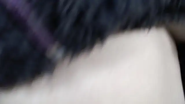 Snapshot of amy_royale chatting on 18, 3, 2025 amy royale online show from 18, 3, 2025