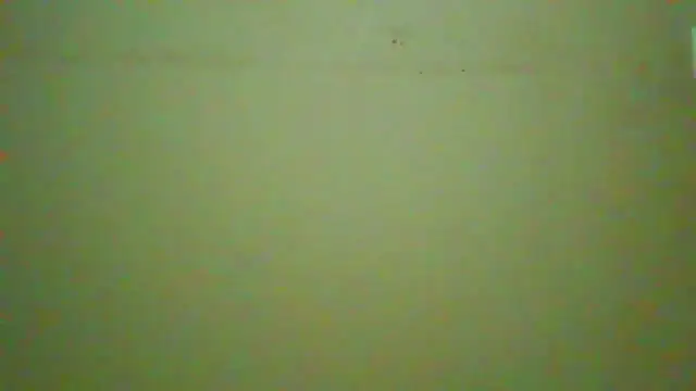 Snapshot of TwistedR chatting on 2, 5, 2026 TwistedR online show from 2, 5, 2026